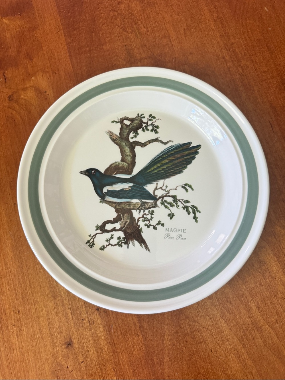 PORTMEIRION Birds of Britain “Magpie Pica Pica” Green Band Dinner Plate